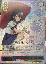 Load image into Gallery viewer, Stream-A-Thon (Weiss)