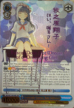 Load image into Gallery viewer, Stream-A-Thon (Weiss)
